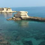 Flora &