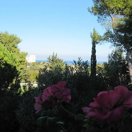 Flora & 3* Sant'Andrea (Apulia)