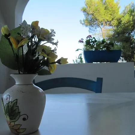 Flora & Aparthotel 3*