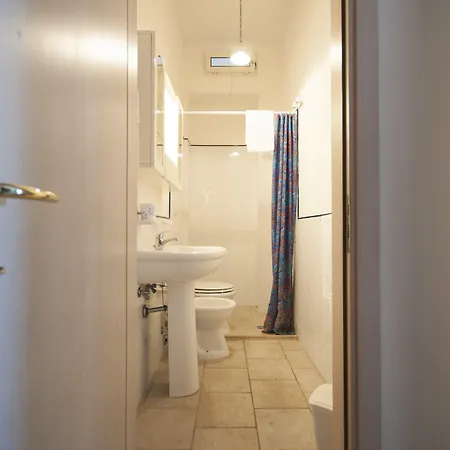 Flora & 산탄드레아