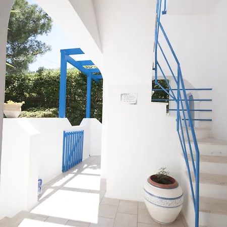 Flora & 아파트호텔