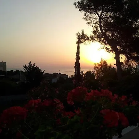 아파트호텔 Flora &