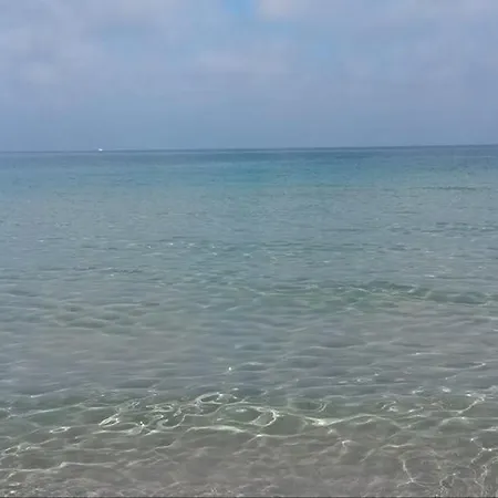 Flora & Hotel apartamentowy 3*