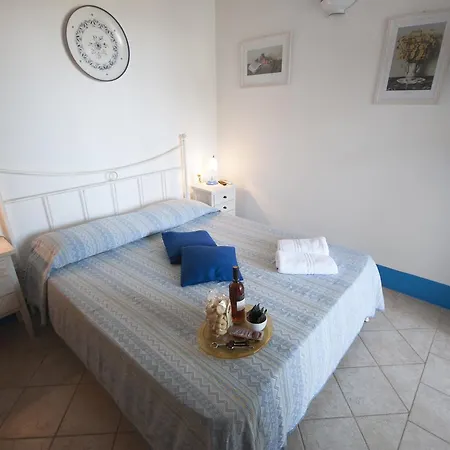 Flora & 산탄드레아