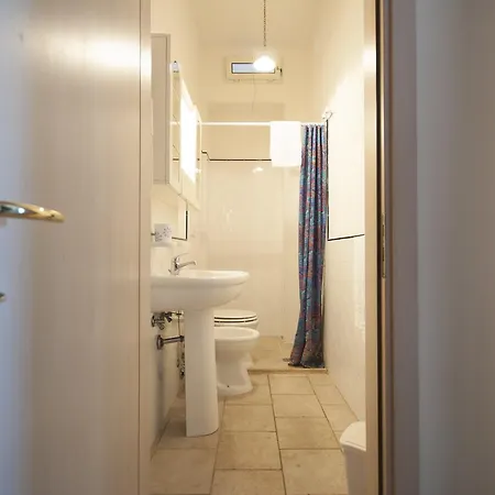 Flora & 산탄드레아