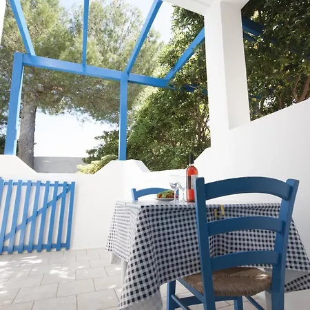 Flora & 산탄드레아