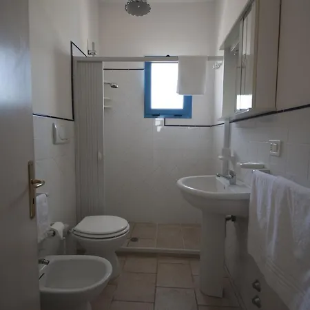 Flora & 산탄드레아