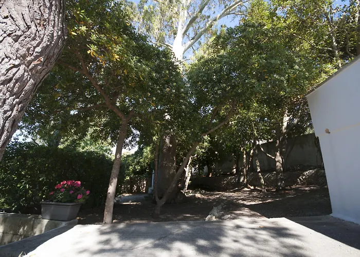 Flora & 아파트호텔