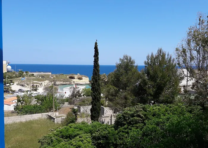 Flora & 아파트호텔