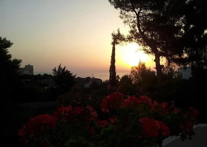 아파트호텔 Flora &